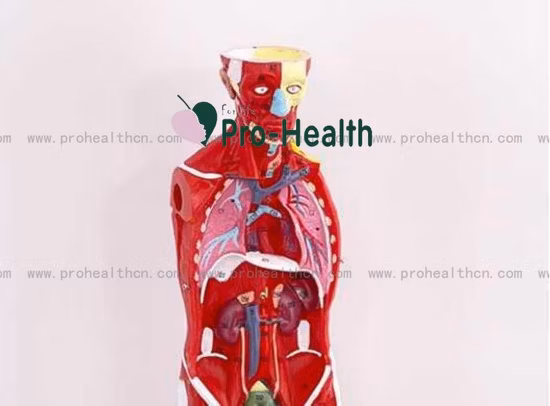 Ленты из 100% хлопка, клейкая повязка, белая жесткая спортивная лента, мышечная лента, спортивная лента, спортивная лента, медицинская лента